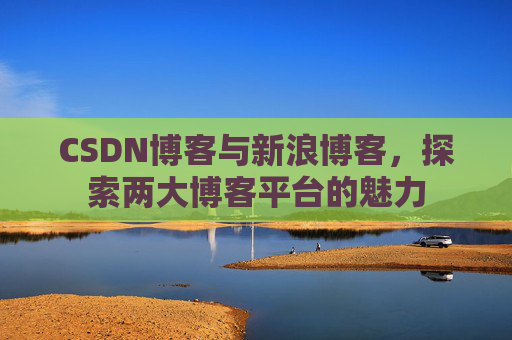 CSDN博客与新浪博客,探索两大博客平台的魅力